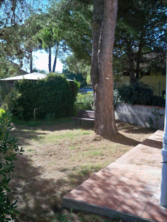 Rta Airone Aparthotel Ορμπετέλλο Εξωτερικό φωτογραφία